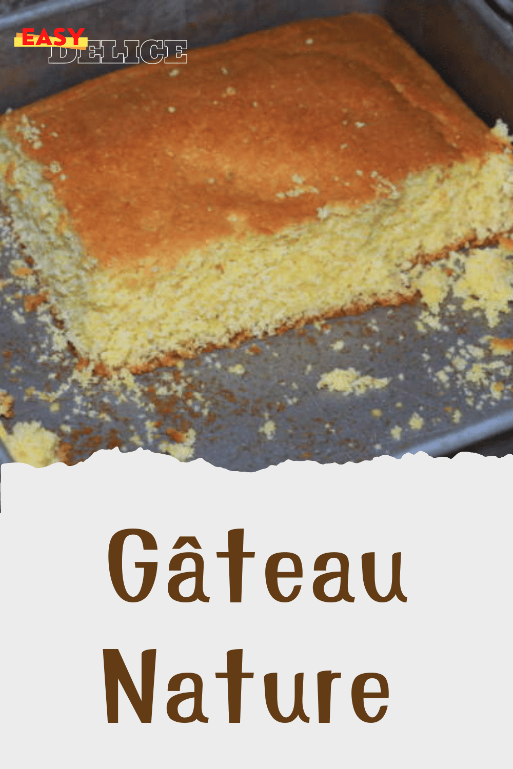 Recette Gâteau Nature facile 