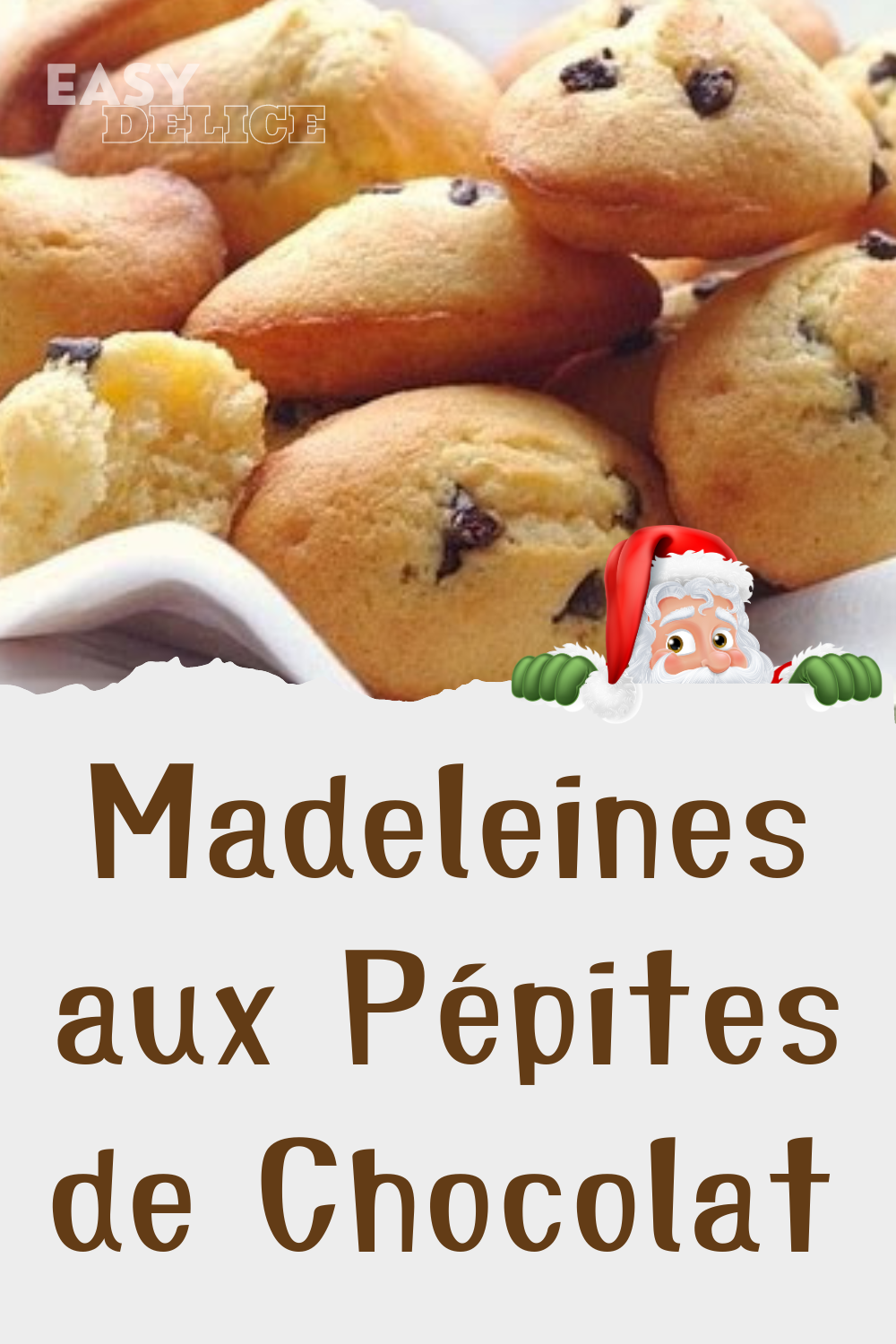 Madeleines aux Pépites de Chocolat