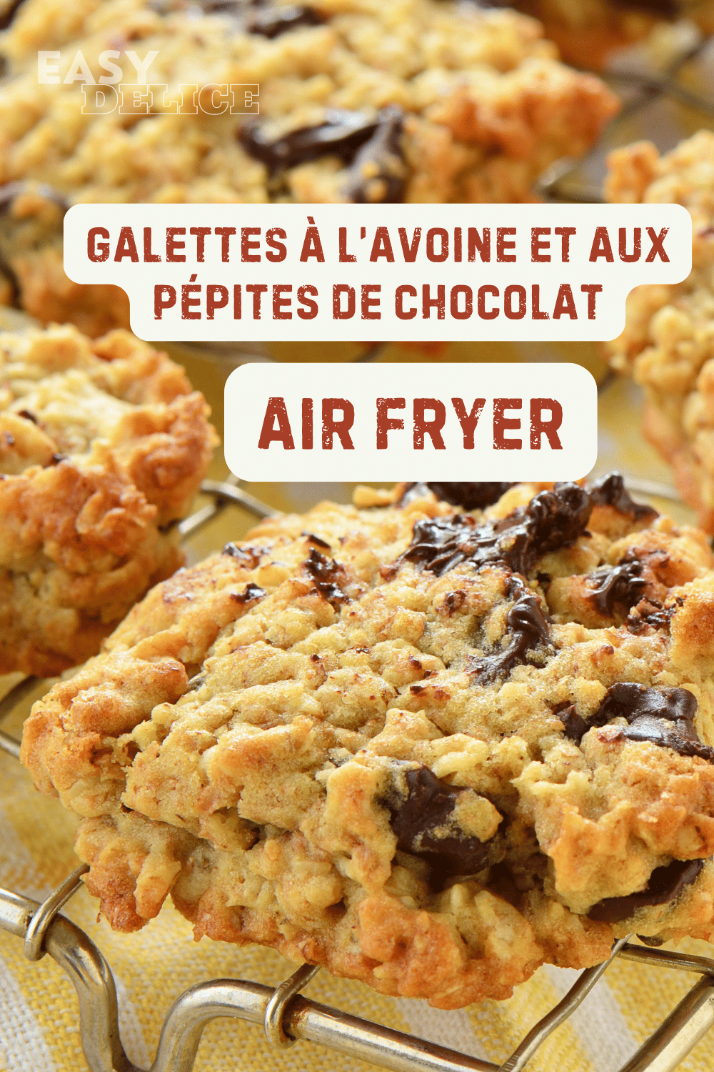 Galettes à l'Avoine et aux Pépites de Chocolat à la Friteuse à Air Chaud (Air Fryer)