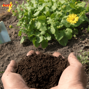 Fertilisant naturel pour la terre