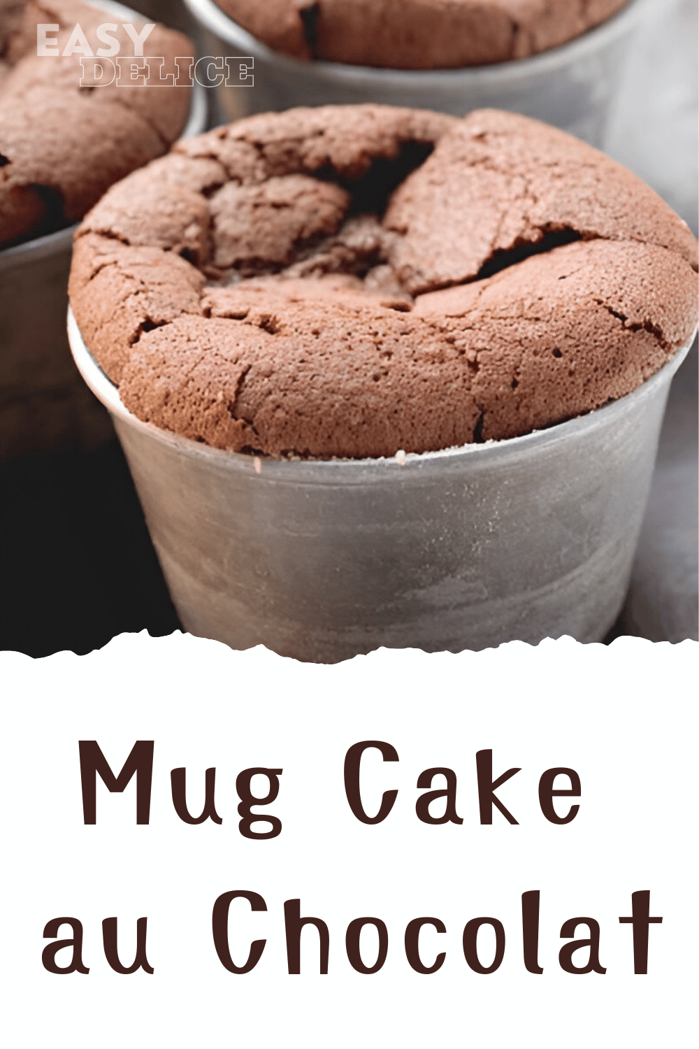 Mug Cake au Chocolat