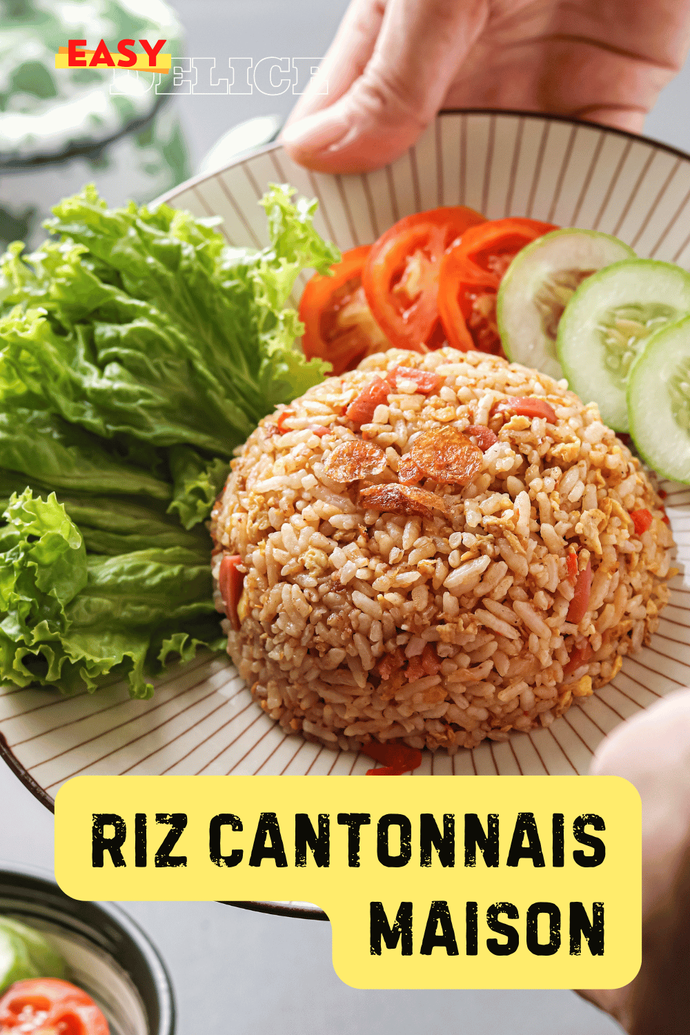 Riz cantonnais doré, garni de légumes croquants, dés de jambon, et œufs brouillés.