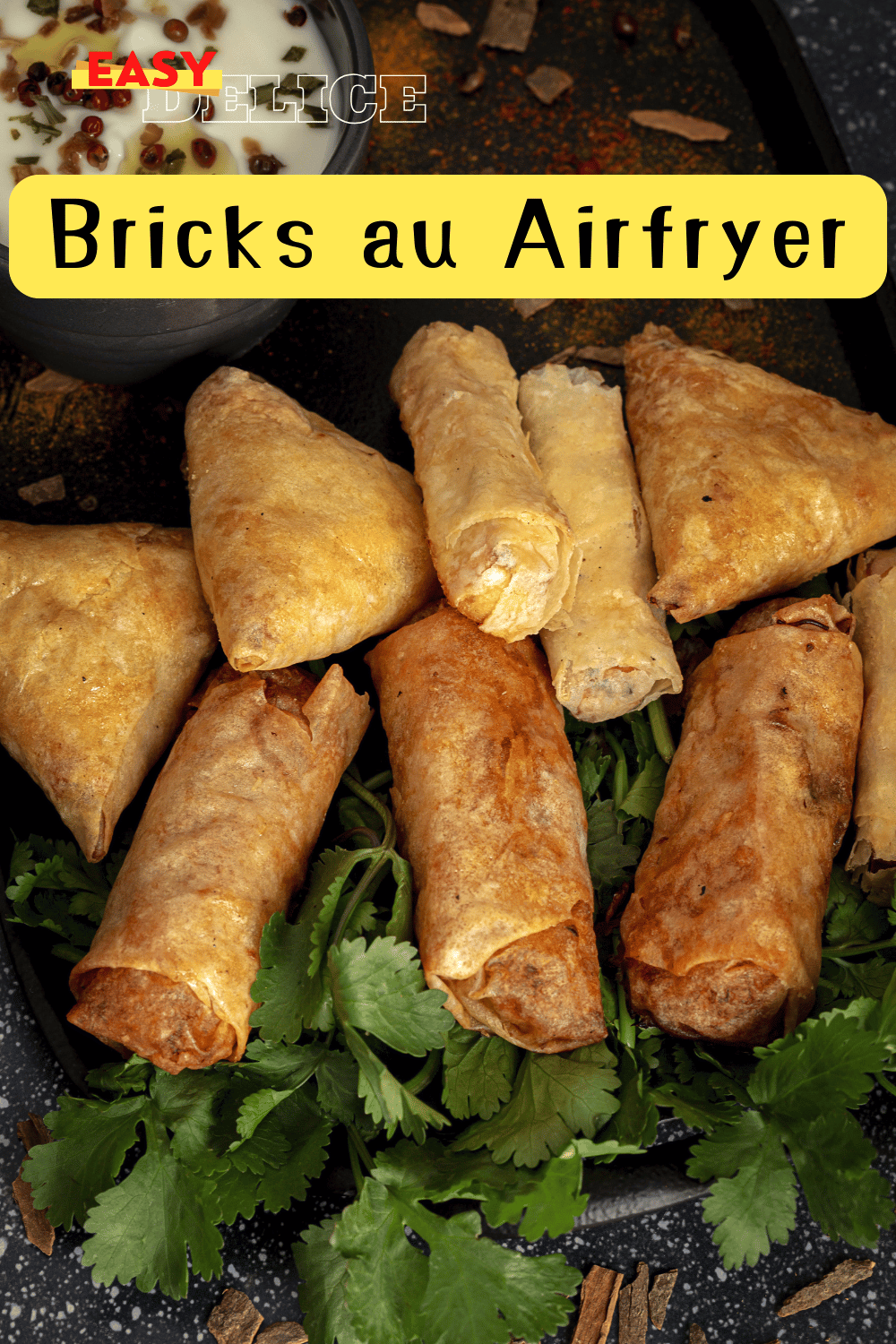 Bricks dorées et croustillantes cuites au Airfryer, servies avec une sauce d’accompagnement.