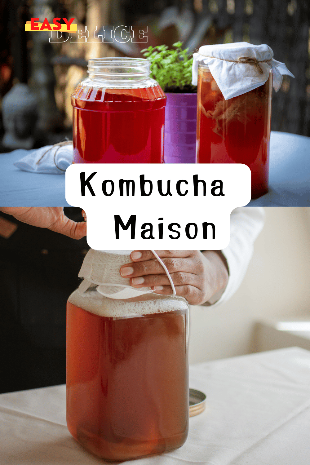 Bocal de kombucha maison en fermentation avec une SCOBY flottant à la surface.