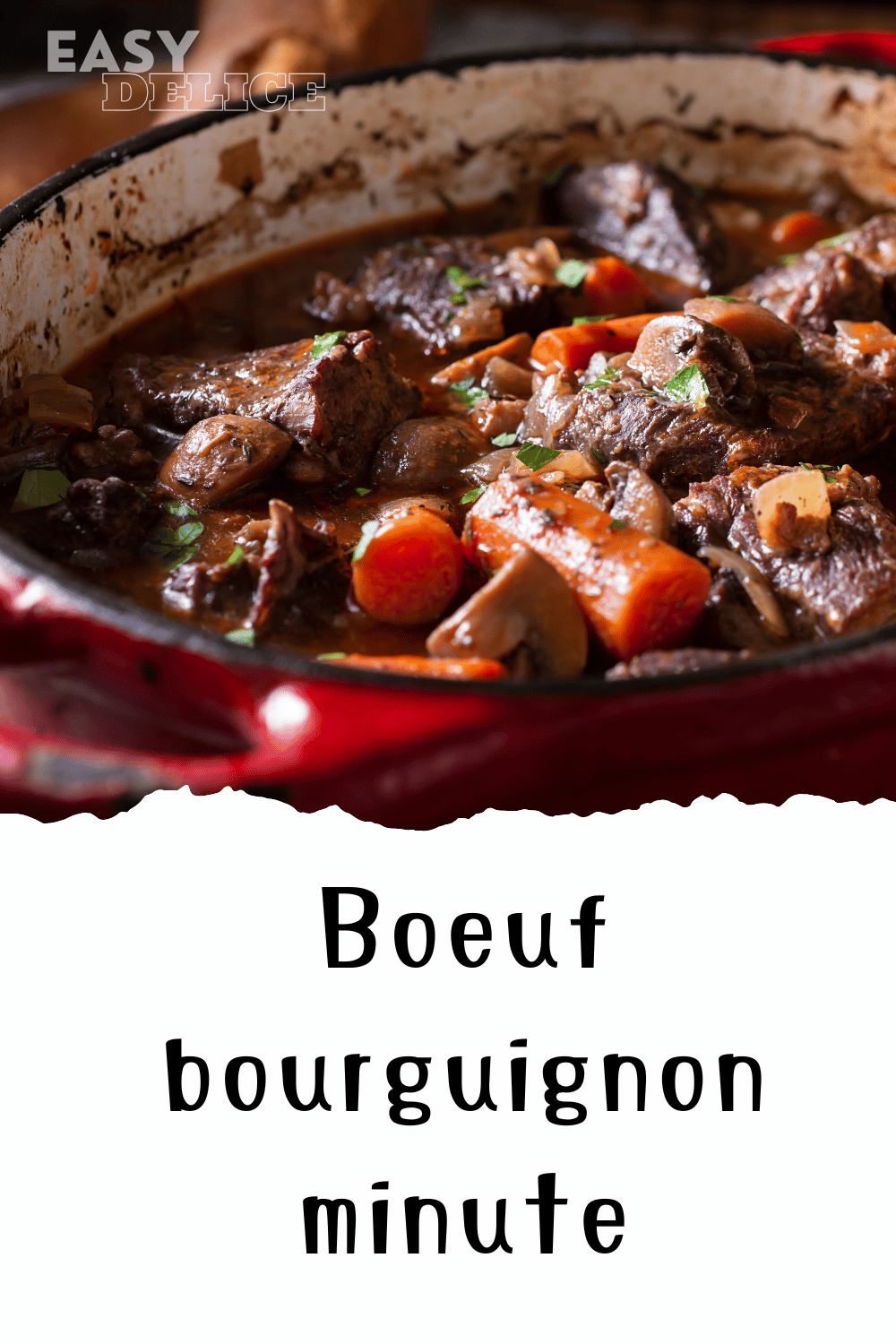 Plat de bœuf bourguignon avec morceaux de bœuf, carottes, champignons et persil