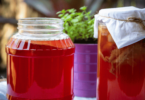 Bocal de kombucha maison en fermentation avec une SCOBY flottant à la surface.