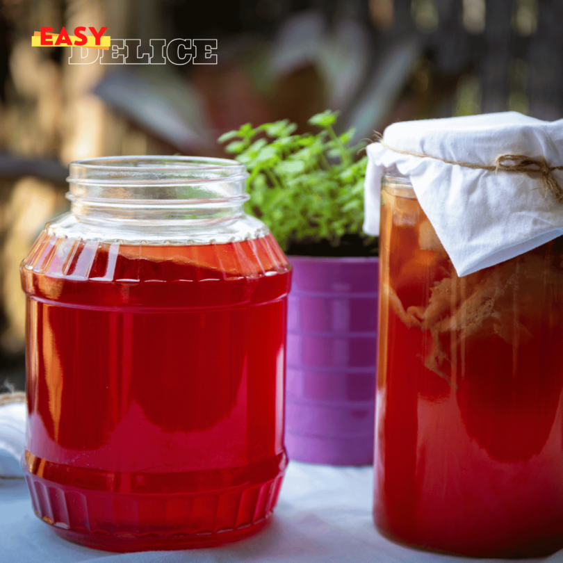 Bocal de kombucha maison en fermentation avec une SCOBY flottant à la surface.