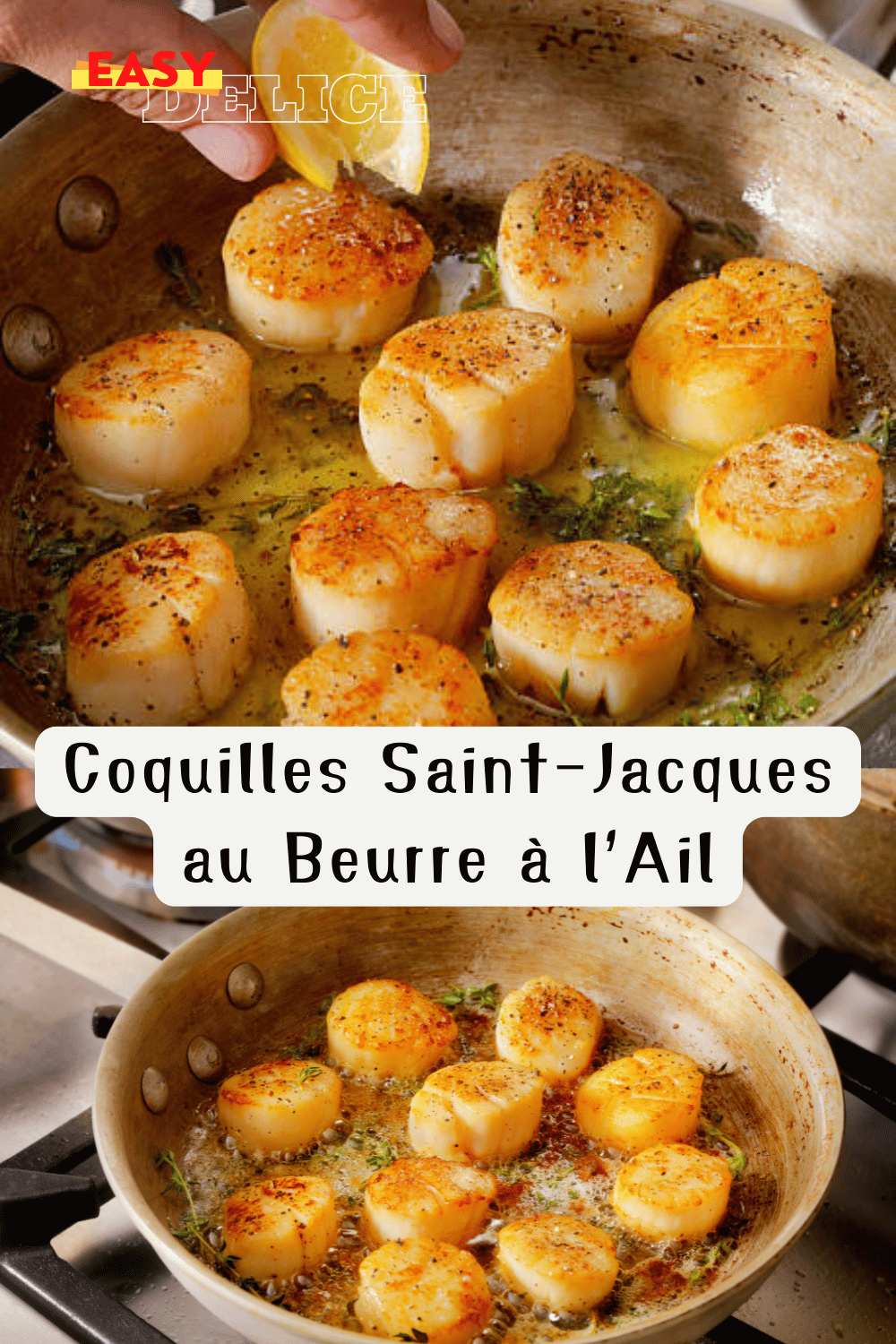 Coquilles Saint-Jacques gratinées au beurre à l’ail avec une croûte dorée de Parmesan et chapelure, servies avec des tranches de citron.