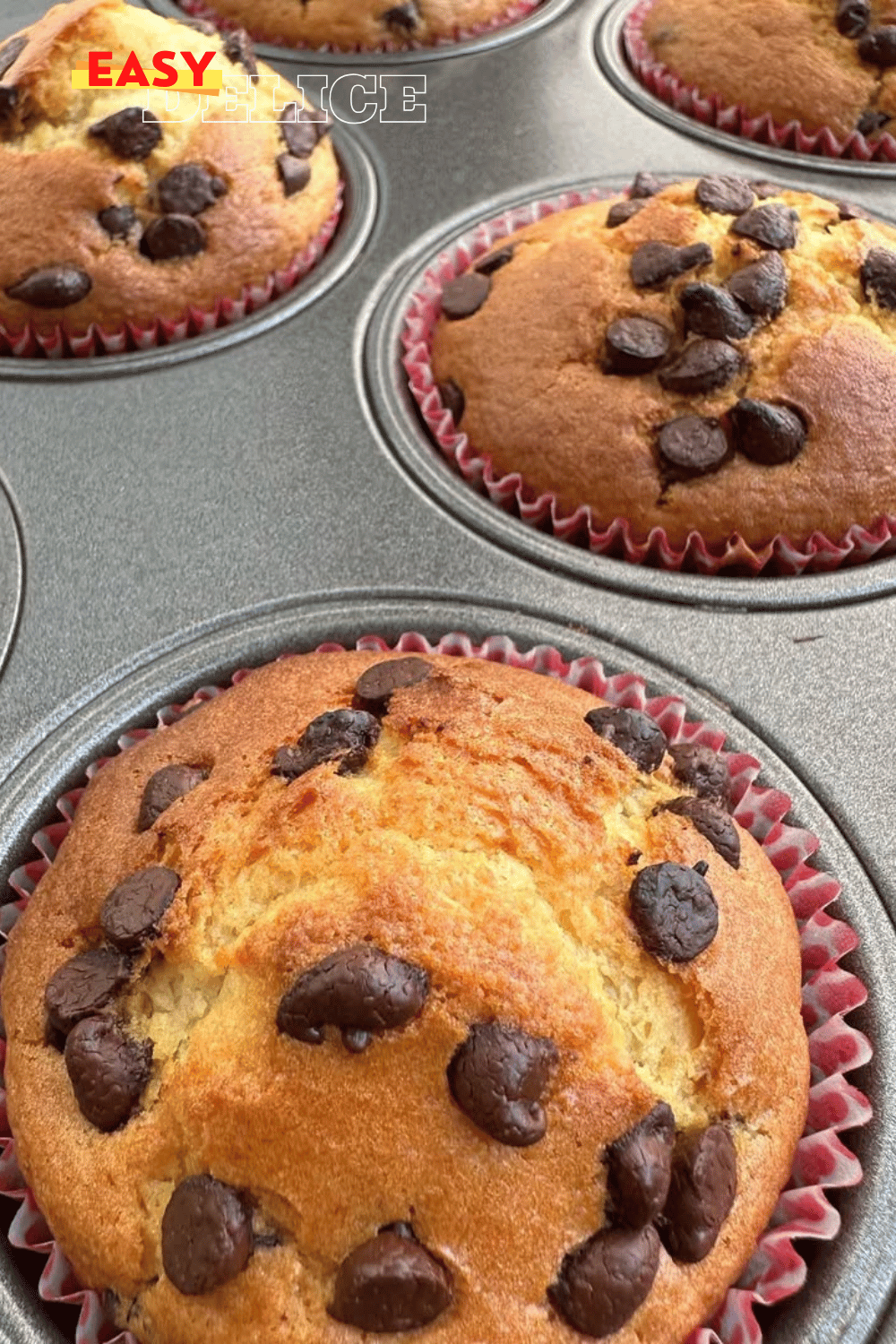 Muffins aux pépites de chocolat moelleux et dorés prêts à déguster.