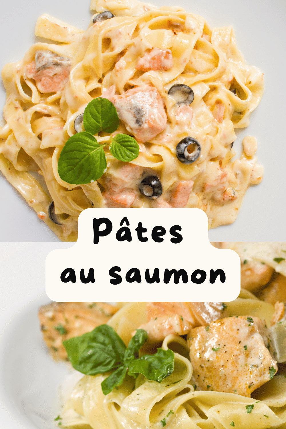 Assiette de pâtes au saumon avec une sauce crémeuse et garniture d’aneth frais.