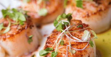 Coquilles Saint-Jacques gratinées au beurre à l’ail avec une croûte dorée de Parmesan et chapelure, servies avec des tranches de citron.