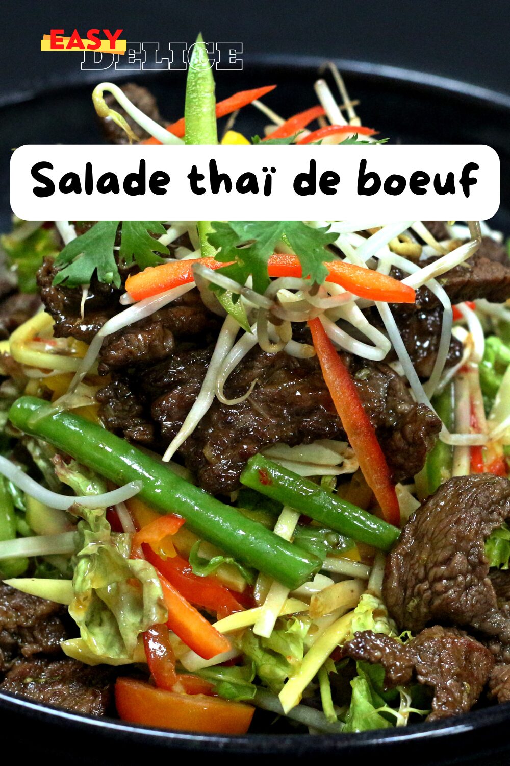 Salade thaï de bœuf avec légumes frais, herbes aromatiques et sauce épicée servie dans un bol.