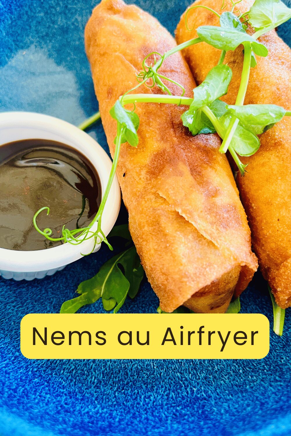 Nems croustillants cuits à l’airfryer, servis avec une sauce nuoc-mâm et des herbes fraîches.