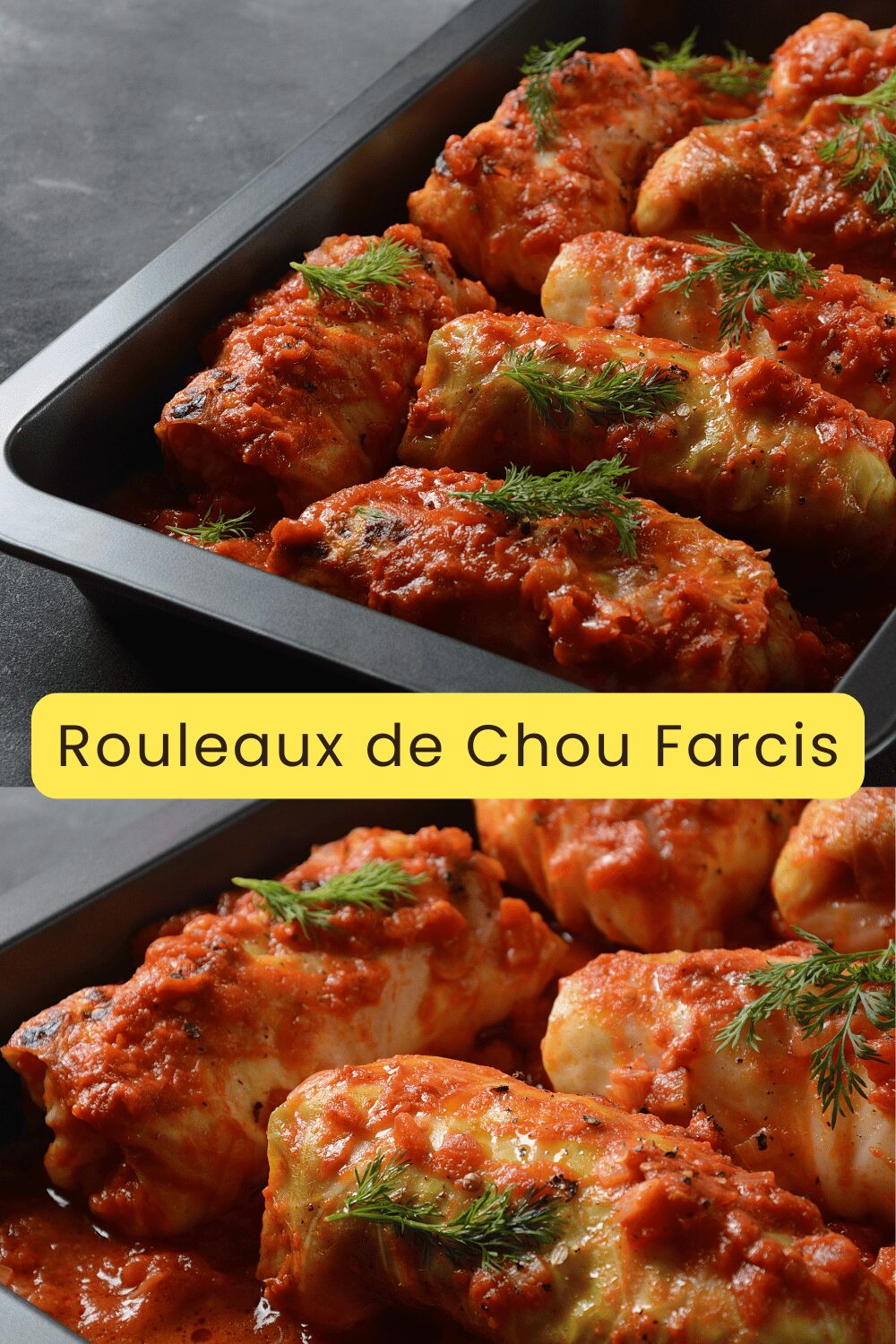 Rouleaux de chou farcis nappés de sauce tomate dans une assiette rustique