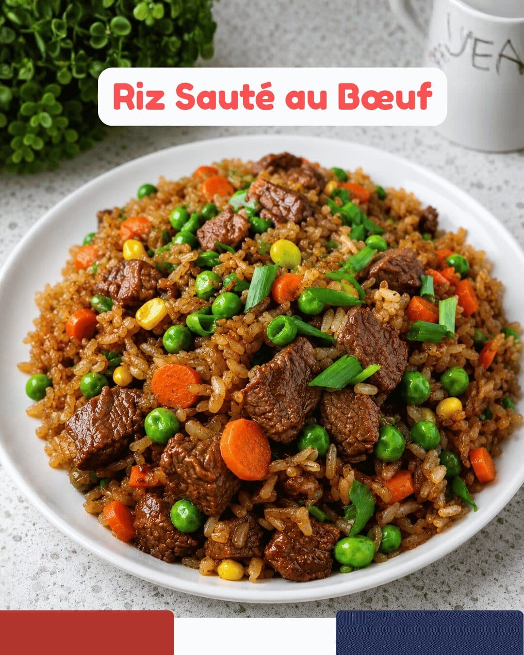 Riz Sauté au Bœuf 