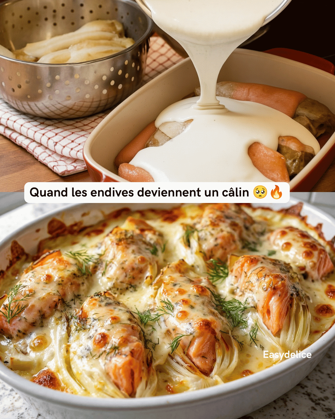Gratin d’Endives au Saumon Fumé et Crème Citronnée