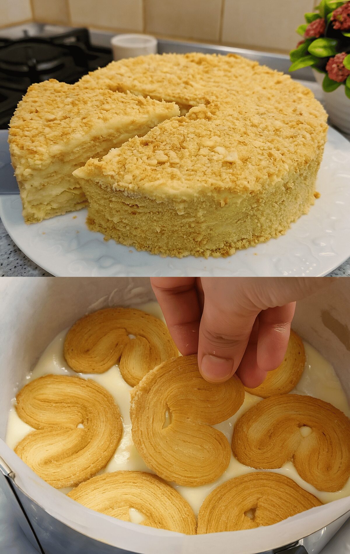 Recette Gâteau Napoléon Sans Cuisson