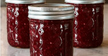 Confiture de Fraises Sans Sucre