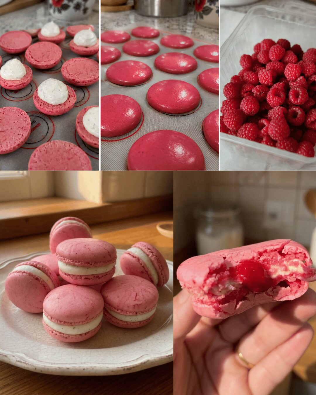 Macaron Vanille & Framboise