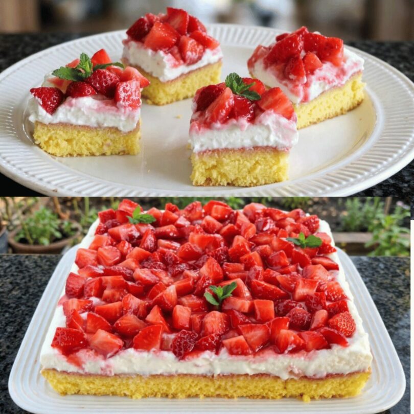 Gâteau Frais aux Fraises et à la Crème
